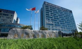 北京生物打死多少人 北京生物打死多少人